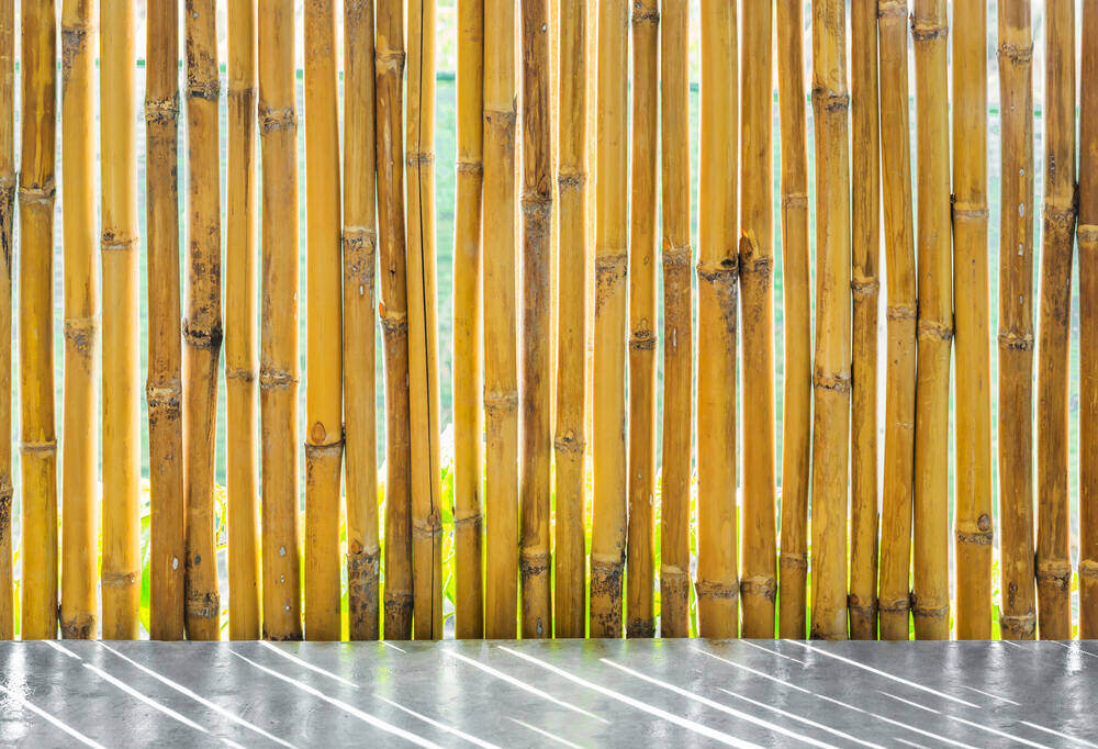 bambusové zastínění