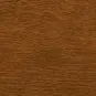 Zlatý dub