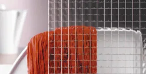 Wired "O" 1/2"