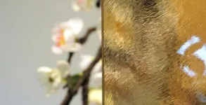 Vison bronz