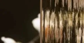Waterfall bronz